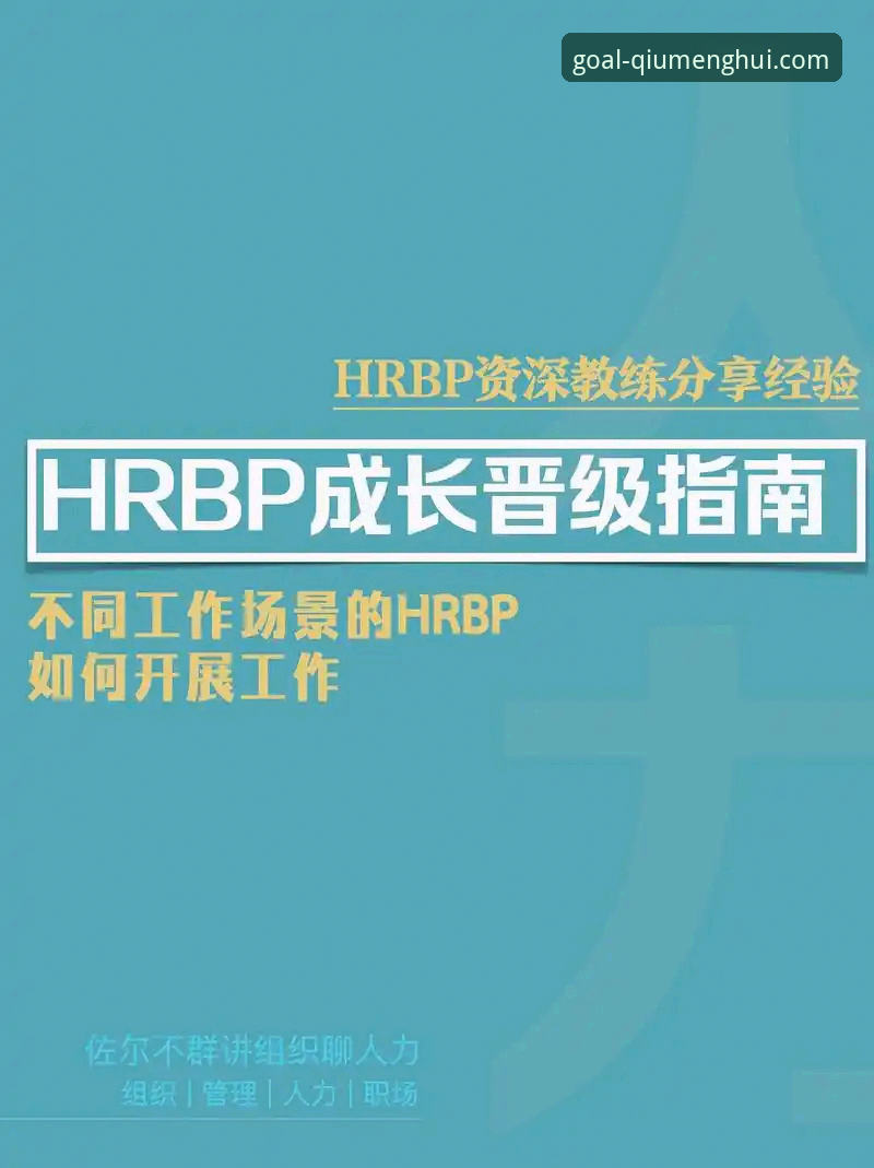 资深用户亲测分享：球盟会体育平台使用心得与球盟会官网入口体验